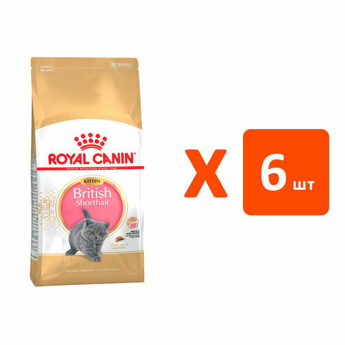 фото ROYAL CANIN BRITISH SHORTHAIR KITTEN 34 для британских короткошерстных котят (2 кг х 6 шт)