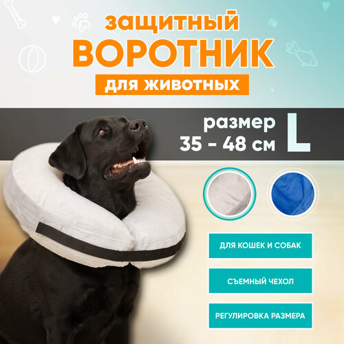 фото Защитный ветеринарный воротник для собак и кошек Mr Dog, L