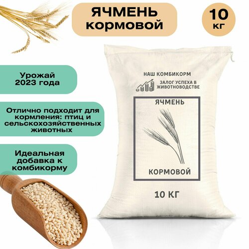 фото Ячмень кормовой 10 кг. Незаменимый продукт для кормления крупного рогатого скота, свиней, овец, домашней птицы и рыб. Для полноценного питания