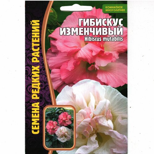 Гибискус изменчивый/ Hibiscus mutabilis, комнатный многолетник ( 1уп: 10 семян ) фото