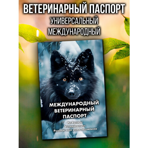 фото Ветеринарный паспорт для кошек и собак международный