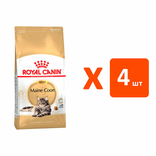 фото ROYAL CANIN MAINE COON ADULT для взрослых кошек мэйн кун (4 кг х 4 шт)