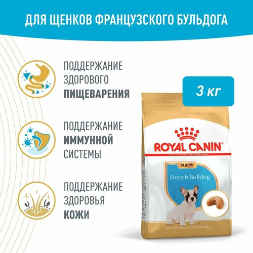 фото Royal Canin French Bulldog Puppy (Французский бульдог паппи) Корм сухой для щенков породы Французский Бульдог до 12 месяцев, 3кг