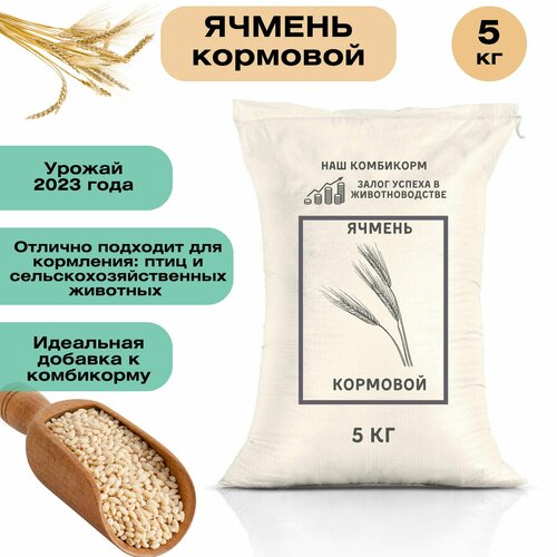 фото Ячмень кормовой 5 кг. Незаменимый продукт для кормления крупного рогатого скота, свиней, овец, домашней птицы и рыб. Для полноценного питания