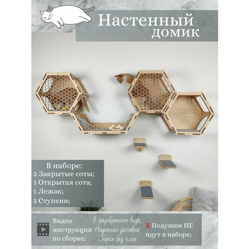 фото Игровой комплекс настенный, лежанка и домик из дерева для кошки