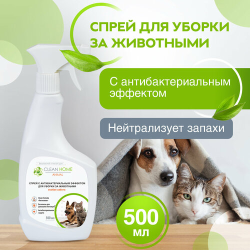 фото Средство Clean Home антисептик для уборки за животными удаление запахов, заказать за 374 рублей