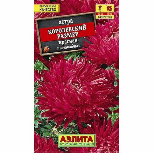 Семена Астра Королевский размер, красная, пионовидное, однолетник, (Аэлита) 0,1г фото