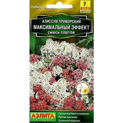 Семена Алиссум Максимальный эффект (смесь сортов) 0,05г (Аэлита) фото