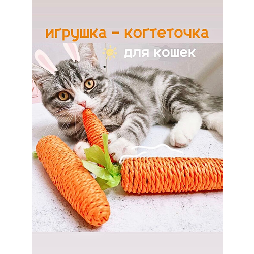 фото Игрушка для кошек котят собак