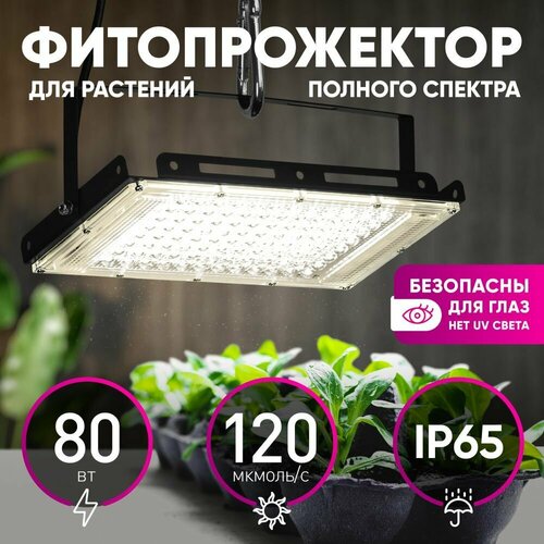 фото Фитопрожектор для растений светодиодный ЭРА FITO-80W-Ra90-LED-Y полного спектра