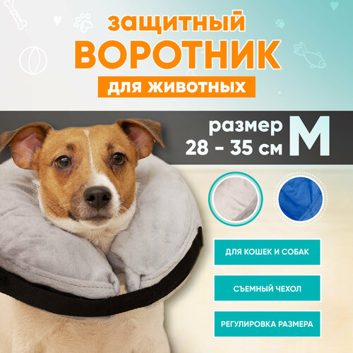 фото Защитный ветеринарный воротник для собак и кошек Mr Dog, M