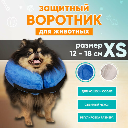 фото Защитный ветеринарный воротник для собак и кошек Mr Dog, XS