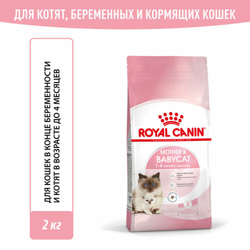 фото Сухой корм Royal Canin Mother & Babycat (Мазэ Энд Бэбикэт) для беременных и кормящих кошек, а также котят до 4 месяцев, 2 кг