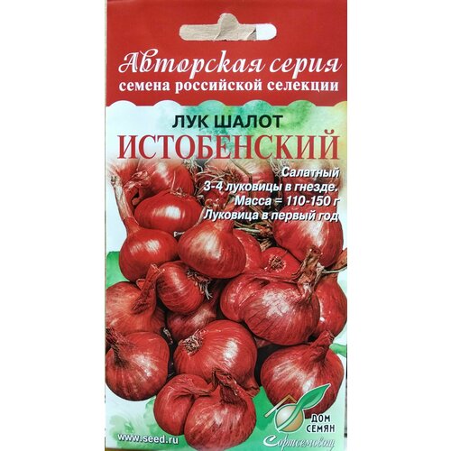 Лук Шалот Истобенский, семейный салатный лук, 3-4 луковицы в гнезде, мякоть белая сочная нежная, высокая урожайность, луковица в первый год, 17 семян фото