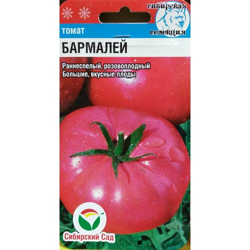 Томат Бармалей (Сибирский сад), раннеспелый розовоплодный, большие вкусные плоды, 20 семян фото