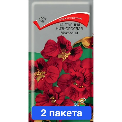 фото Цветы Настурция низкорослая Махагони Поиск 2 пакета, заказать за 447 рублей