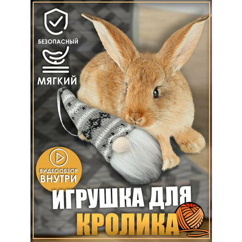 фото Игрушка для кролика, гномик, игрушки для грызунов, игрушки для животных