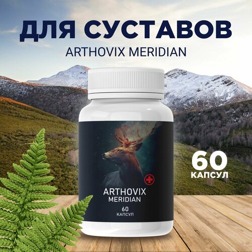 фото Средство для здоровья суставов Arthovix Meridian