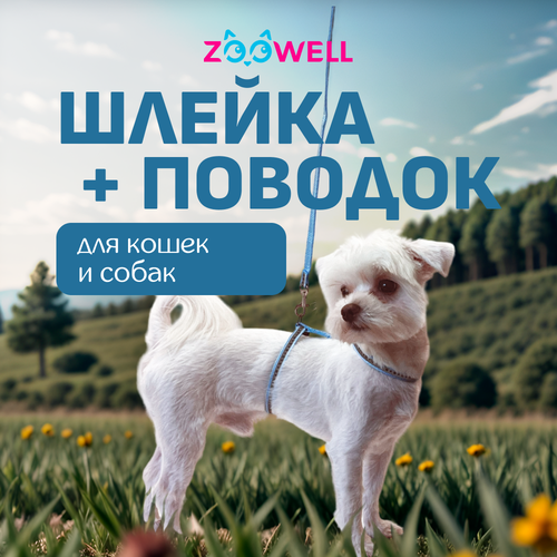 фото Светоотражающая шлейка с поводком ZooWell для кошек универсальная, шлейка для кошек