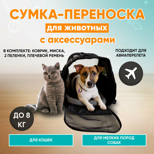 фото Сумка переноска для кошек и собак + аксессуары в комплекте