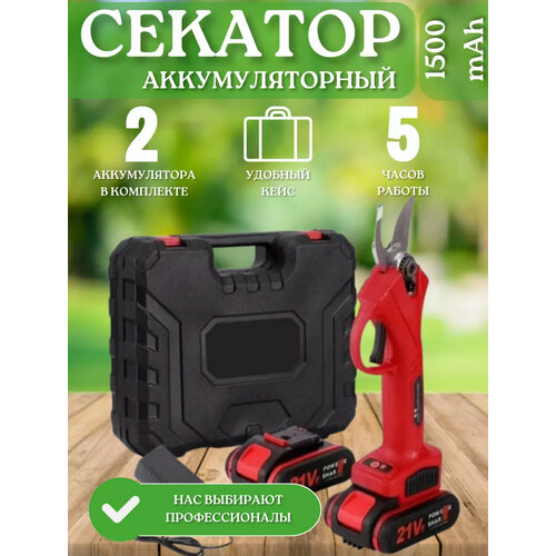 Аккумуляторный секатор-сучкорез Smart, 21 В, 2 А*ч, 2 аккумулятора, кейс фото