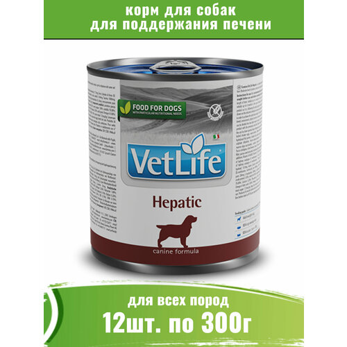 фото Farmina Vet Life Dog Hepatic 12шт по 300г корм для собак при заболеваниях печени