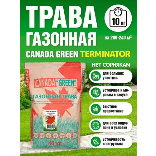 фото Газонная трава семена Канада Грин Нет сорнякам 10кг / Canada Green Terminator 10кг