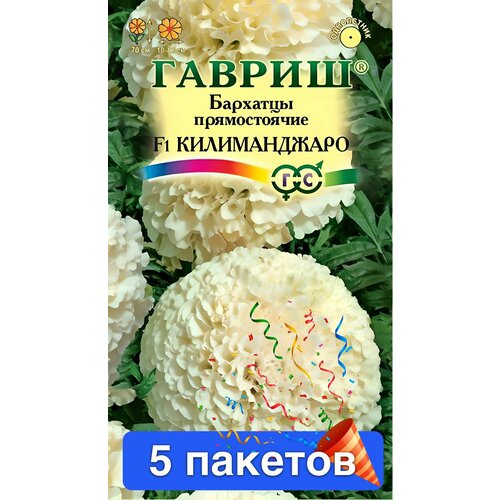 Цветы Бархатцы прямостоячие Килиманджаро F1 5 пакетов фото