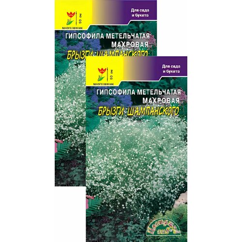 фото Гипсофила Брызги Шампанского (0,1 г), 2 пакета, заказать за 249 рублей