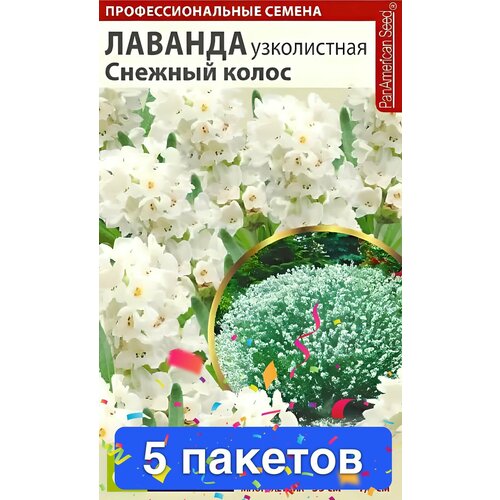 Цветы Лаванда Снежный колос английская 5 пакетов фото