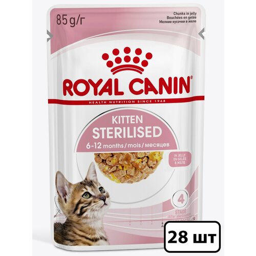 фото Royal Canin влажный корм для стерилизованных котят, кусочки в желе (28шт в уп) 85 гр