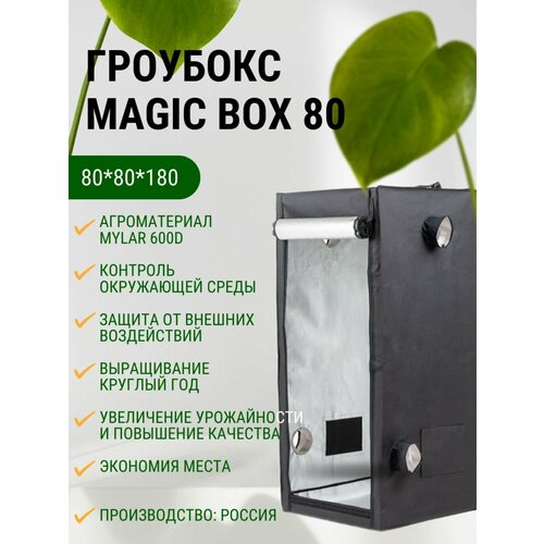 фото Гроубокс MagicBox 80 (80*80*180 см)