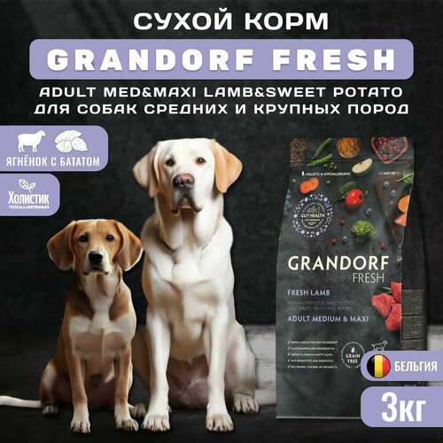 фото Сухой корм GRANDORF Fresh Dog Adult MED&MAXI Lamb&Sweet Potato для собак средних и крупных пород из свежего мяса ягненка с бататом, 3 кг