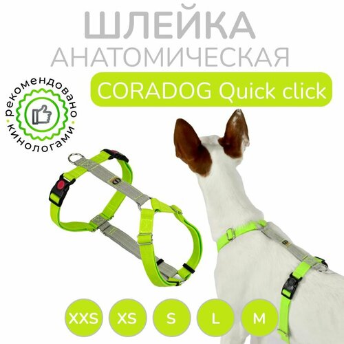 фото Шлейка прогулочная анатомическая для средних и крупных пород собак, CORADOG Quick click, размер M, цвет салатовый, серый