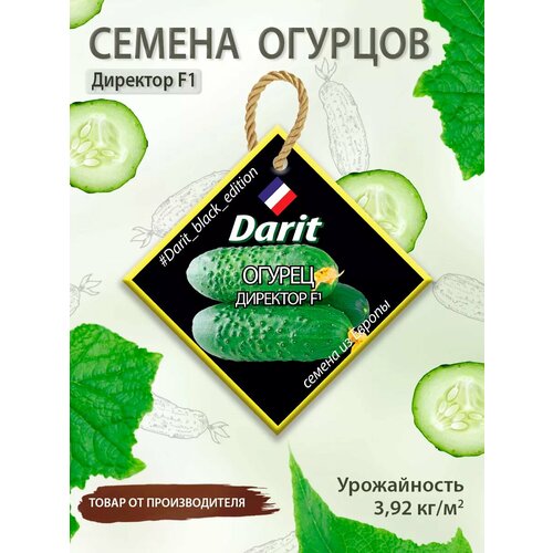 фото Семена огурцов Директор F1 Darit Black Edition гибрид