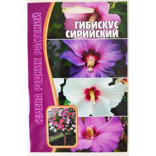 фото Семена редких многолетников: Гибискус сирийский (7шт), заказать за 263 рублей