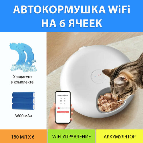 фото Автоматическая кормушка WiFi для влажного и сухого корма. Автокормушка секционная 6 ячеек на аккумуляторе, с хладагентом от MY PET`S GADGETS