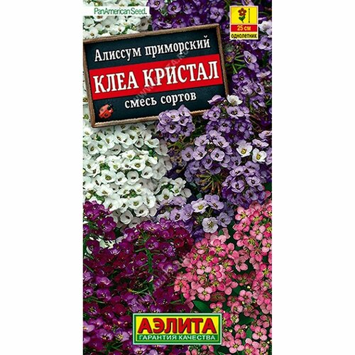 Семена Алиссум Клеа кристал, смесь сортов, однолетник, (Аэлита) 4шт PanAmerican фото