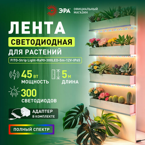 фото Светодиодная лента для растений рассады ЭРА FITO-Strip Light-Rа90-300LED-5m-12V-IP65 полного спектра 5 м, IP65