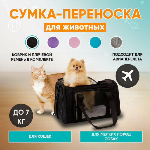 фото Сумка-переноска для кошек и мелких собак MR DOG