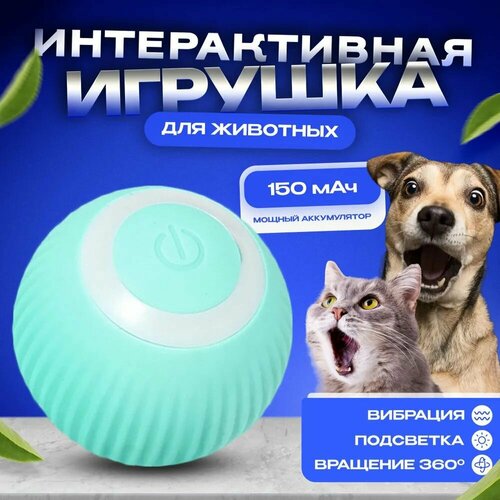 фото Игрушка для кошек и собак интерактивная, мяч бирюзовый NSN