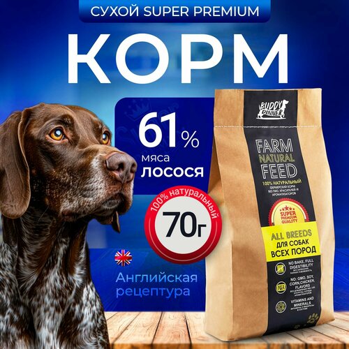 фото Сухой корм для собак средних и крупных пород Buddy Dinner Gold Line Hypoallergenic с лососем 70 гр