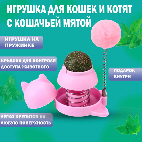 фото Игрушка для кошек с кошачьей мятой интерактивная дразнилка помпон, мятный шарик на стену