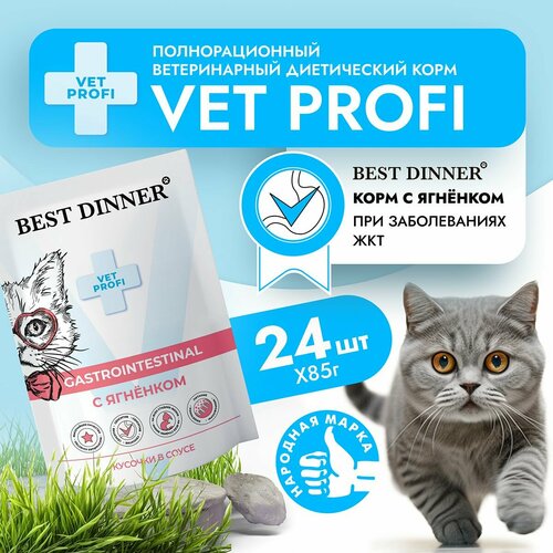 фото Влажный корм для кошек Best Dinner VET PROFI Gastro Intestinal кусочки в соусе Ягненок, 85 г х 24 шт для чувствительного пищеварения и пищевой непереносимости, пауч (Бест Диннер)