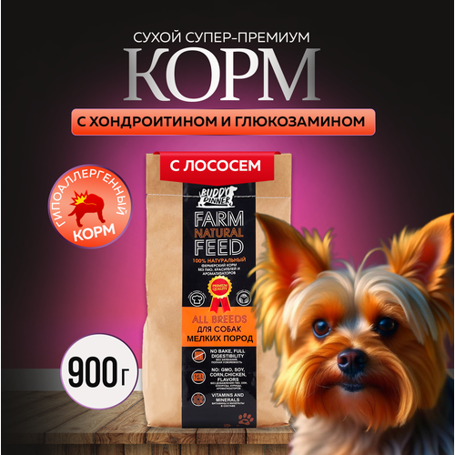 фото Сухой корм для собак мелких пород Buddy Dinner Orange Line Hypoallergenic с лососем 900 гр