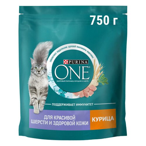 фото Сухой корм Purina ONE® для взрослых кошек для красивой шерсти, здоровой кожи и контроля образования волосяных комков с курицей 750 г