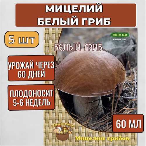 Агрохолдинг Поиск Мицелий грибов Белый гриб на компосте 60 мл, набор 5 шт фото