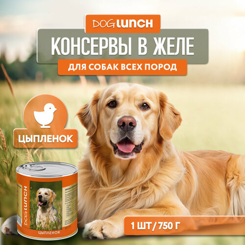 фото Влажный корм для собак Dog Lunch цыпленок 1 уп. х 1 шт. х 750 г