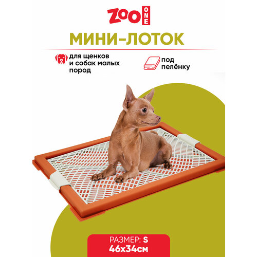 фото Туалет для щенков ZooOne Мини с сеткой 46х34х2 см 1 шт. 1 шт. 46 см 34 см 2 см коричневый S