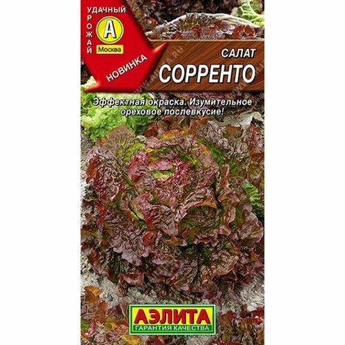 Семена Салат Сорренто, полукочанный (Аэлита) 0,5г фото